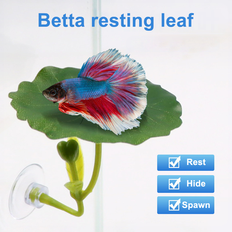 Betta Fish Tank - (Ce14)1/5PC Akuarium Daun Hijau untuk Ikan
