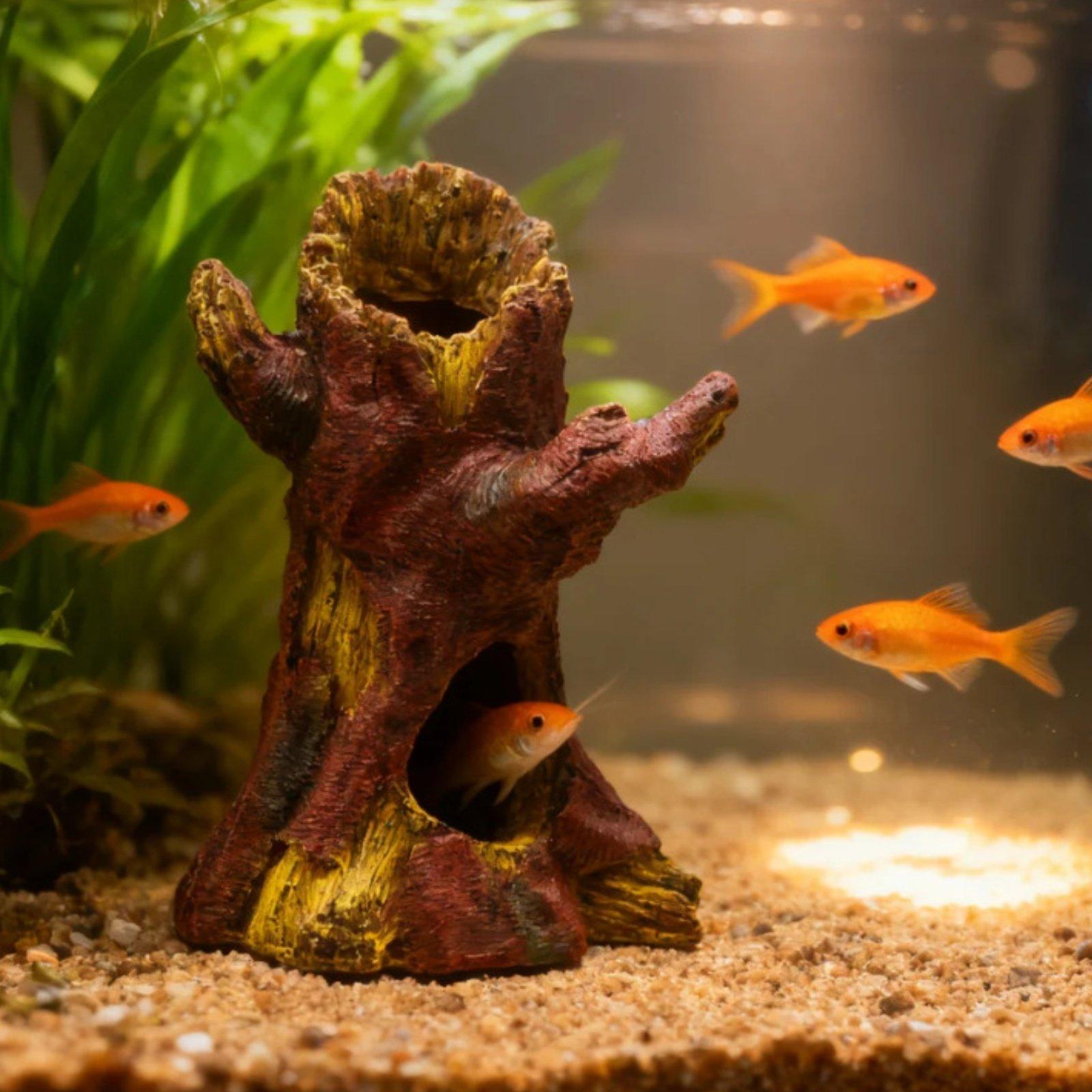 Dekorasi Lanskap Akuarium, Dek - Aquarium Decor ulasan dan harga