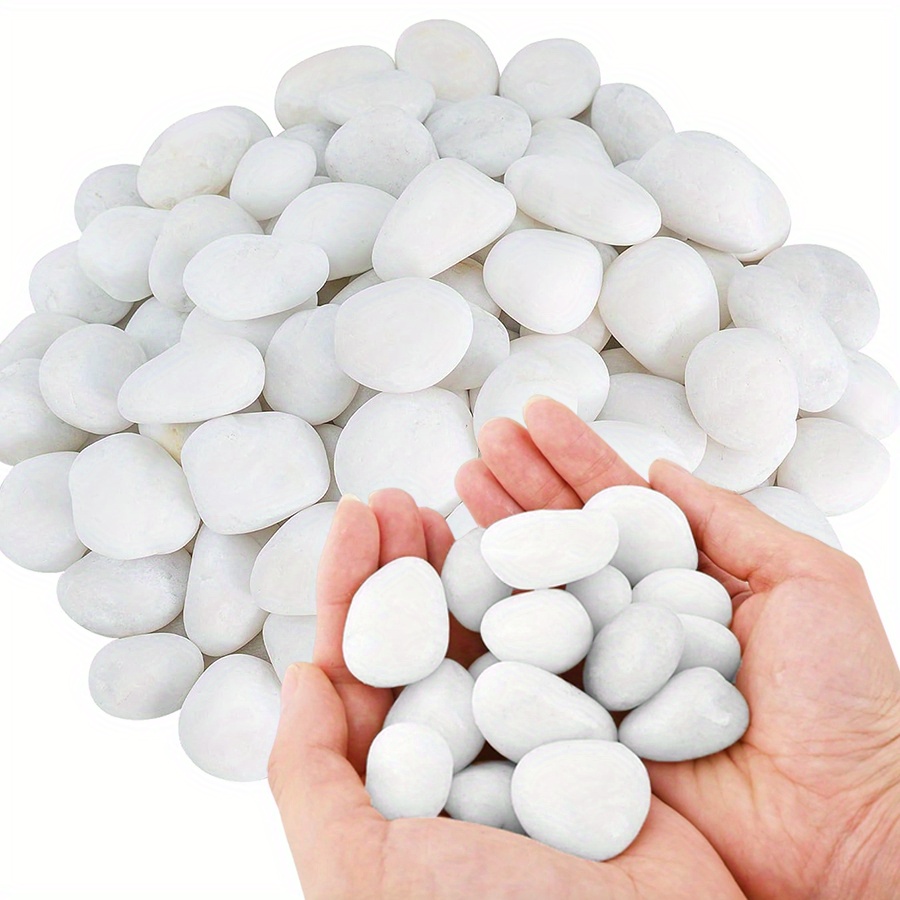 200/400g Batu Kerikil Putih Po - Aquarium Plants ulasan dan harga