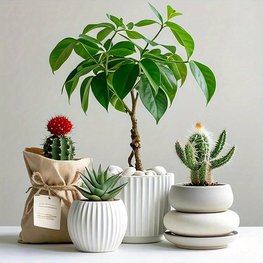 200/400g Batu Kerikil Putih Po - Aquarium Plants ulasan dan harga