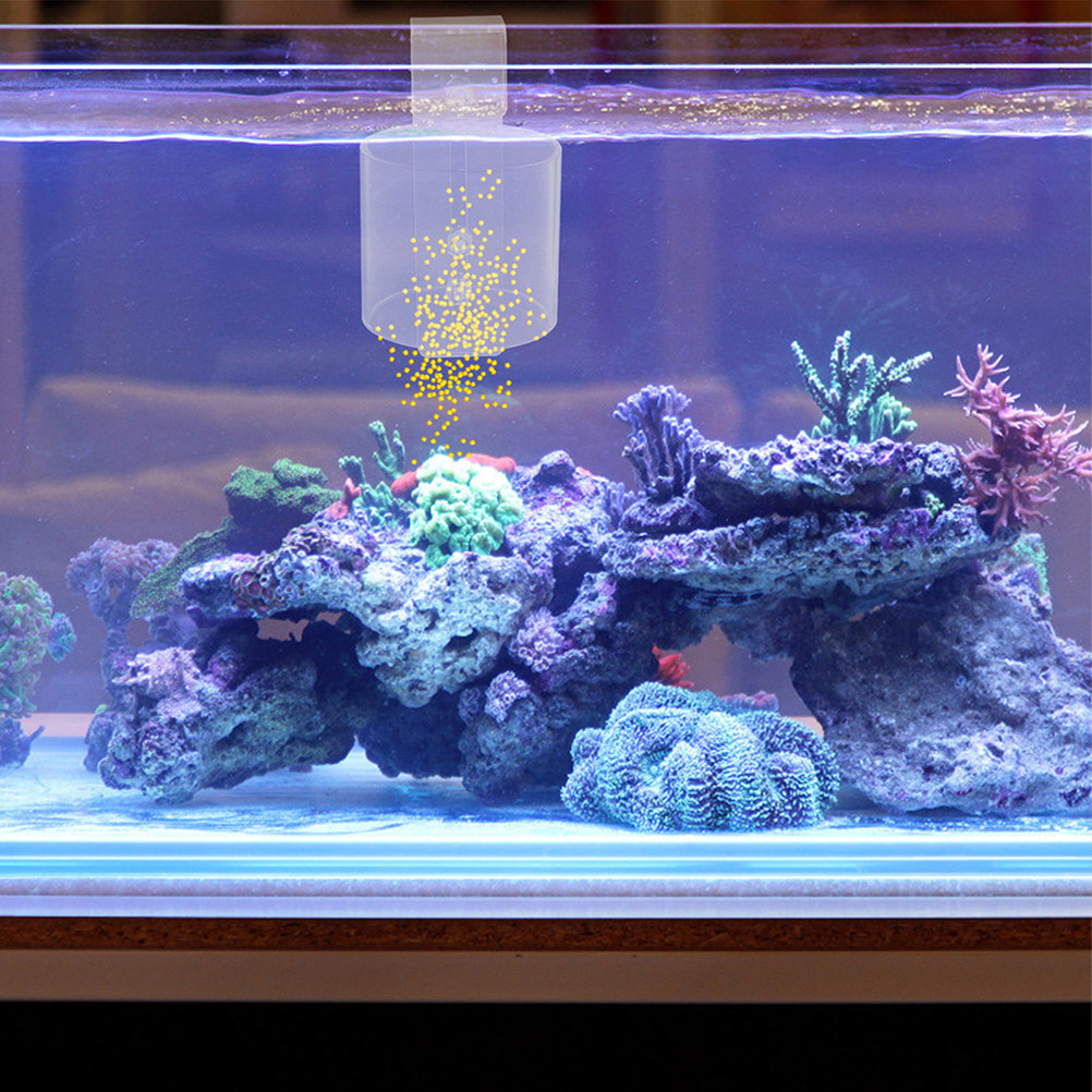 Cincin Pemberi Makan Ikan Akri - Aquarium Fish Keeping ulasan dan harga