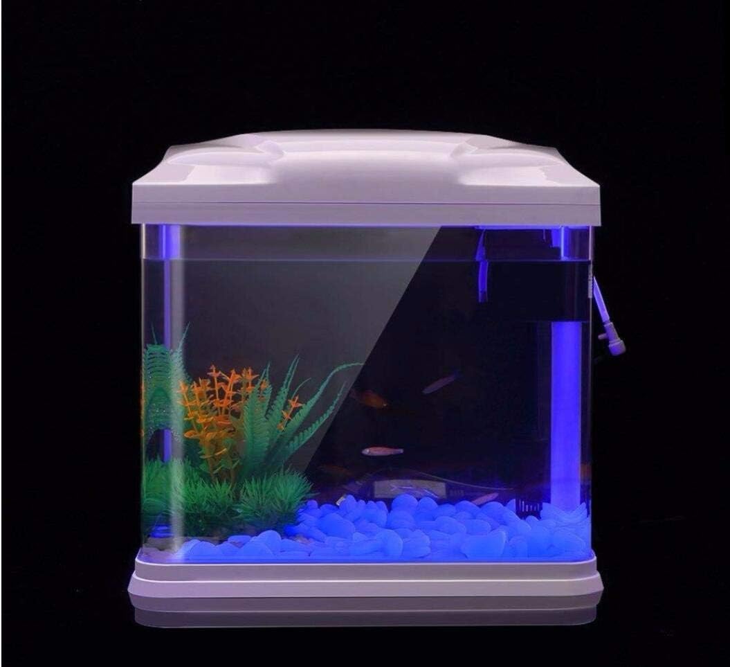 Batu Tangki Ikan Kerikil Biru  - Aquarium Plants ulasan dan harga