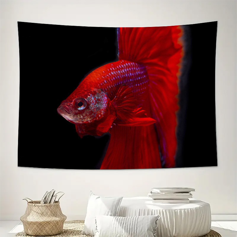 Permadani Ikan Betta Merah Cer - Aquarium Fish Betta ulasan dan harga
