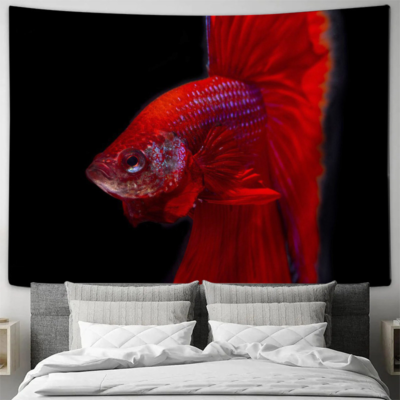 Permadani Ikan Betta Merah Cer - Aquarium Fish Betta ulasan dan harga