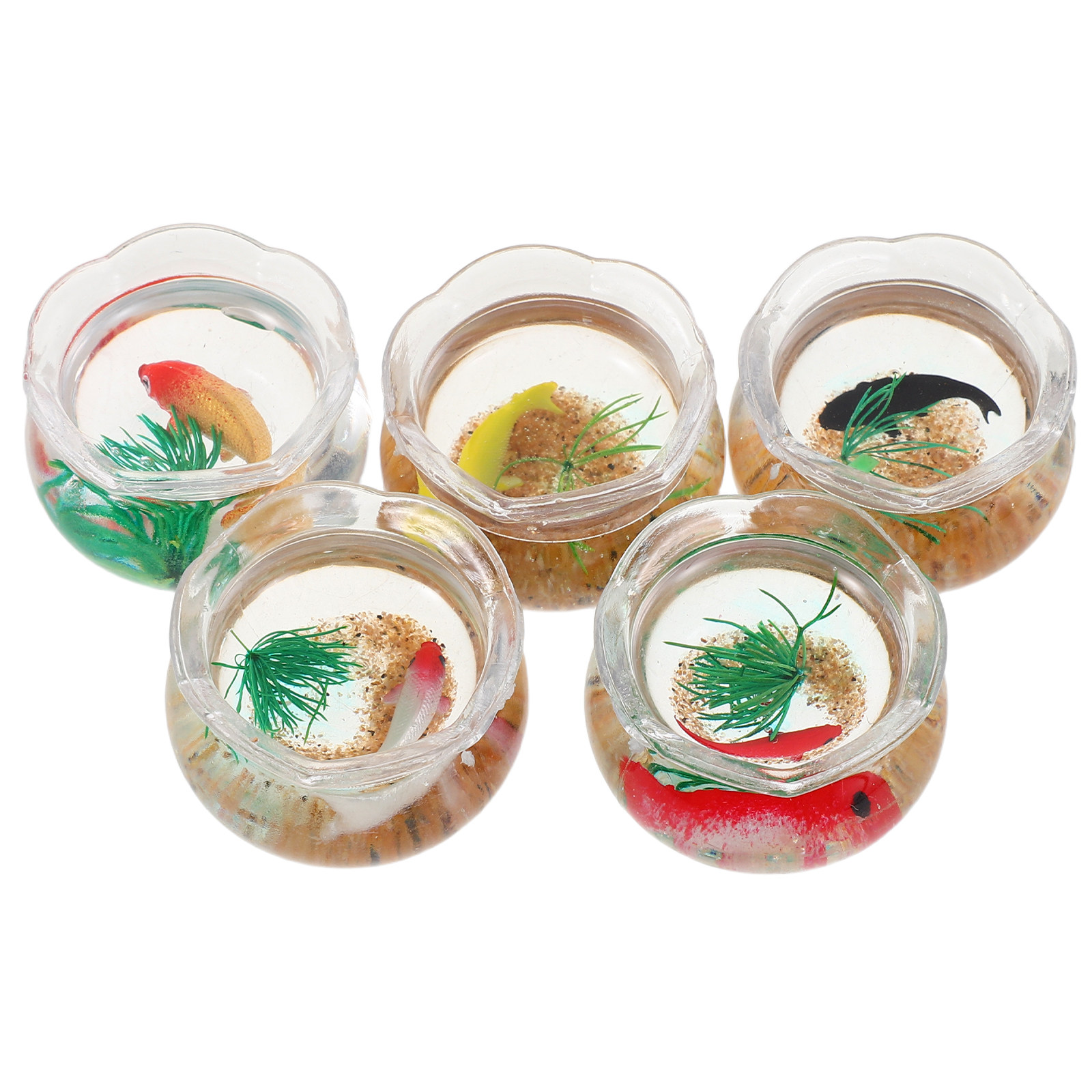 5 buah Set Akuarium Mini Ikan  - Aquarium Plants ulasan dan harga